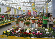 At the facilities of Kebol, in Aalsmeer in The Netherlands, Volmary and Benary together put on quite a show again.